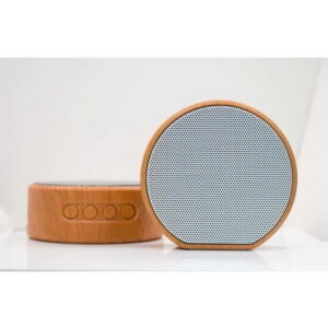 PARLANTE NAXIDO A60 BT